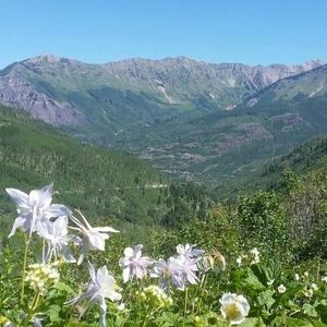 Meet your Posher, Bill